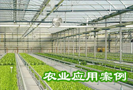 農(nóng)業(yè)應用案例：水源熱泵機組助力恒溫大棚種植，更低運行成本