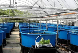 水產(chǎn)養(yǎng)殖用水源熱泵，恒溫冷暖兩用，耗電低